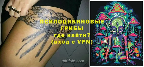 ПСИЛОЦИБИНОВЫЕ ГРИБЫ Володарск